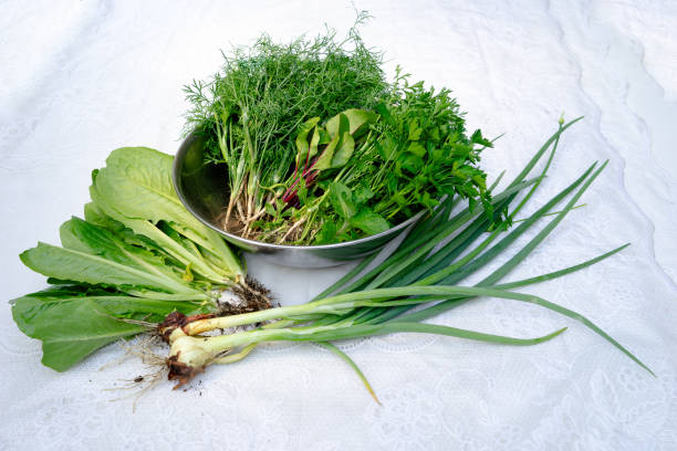 istock Garden Harvest - salad ingredients 2125431576