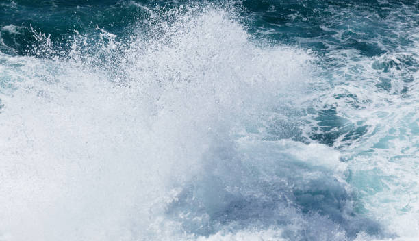 istock Gran Canaria, view to  El Confital beach 2125475156