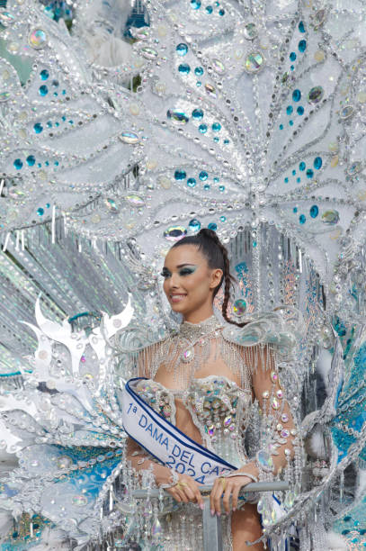 carnival dame greets the public - samba dancing dancer salsa dancing carnival stock-fotos und bilder