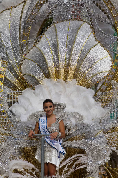 carnival dame greets the public - samba dancing dancer salsa dancing carnival foto e immagini stock