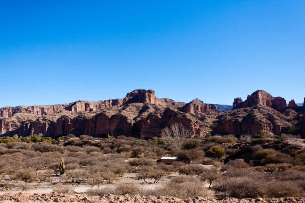 istock Bolivian dirt road view,Bolivia 2125521114