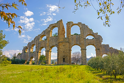 Aqueducts with spring flowers and olive trees in the ancient city of Aspendos in Antalya, Turkey