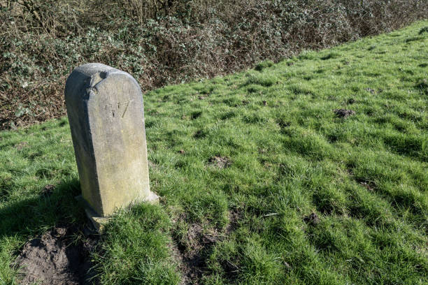 Free picture: Decay stone monument with sign post overgrown in forest
