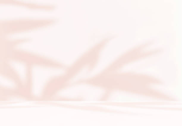 istock Empty brownish pink beige cream room studio with sunlight effect shadow of leaves. 2125603364