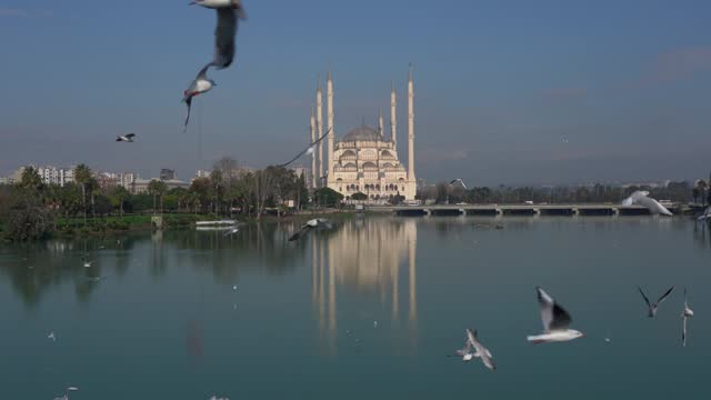 Adana Sabancı Mosque and seyhan river landcape