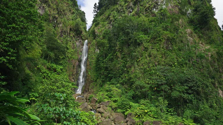 SLO MO Shot of Scenic Waterfall Amidst Trees On Mountain in Dense Green Forest