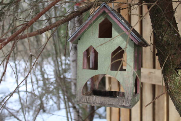 istock bird feeder, birdhouse, wooden bird feeder 2125683474