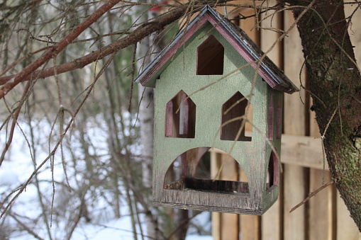 photo wooden bird feeder. beautiful birdhouses for birds. food for birds.