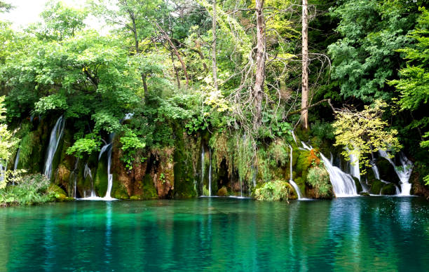 istock Plirvice national park Croatia 2125698907