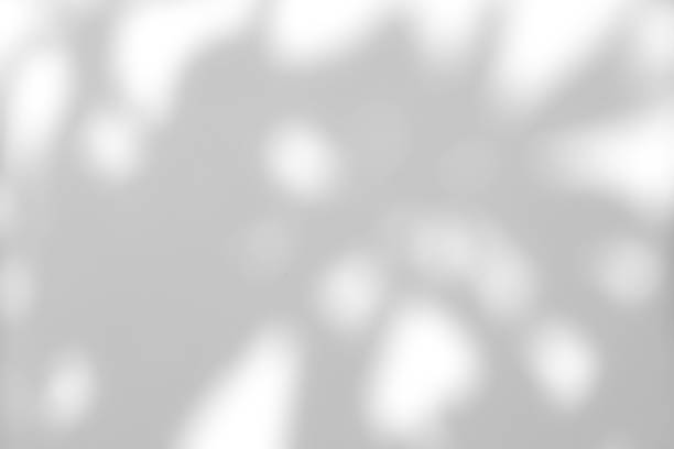 istock White wall with shadow of leaves overlay. Sunlight effect shadow on the wall. 2125703515