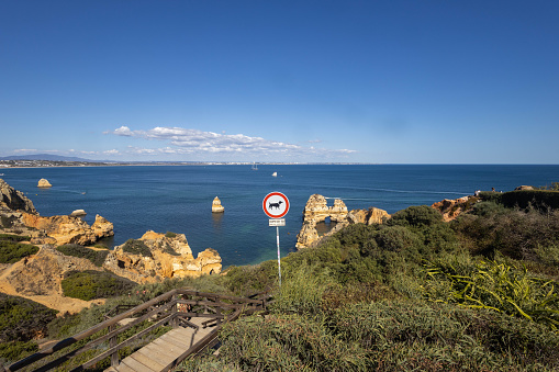 No dogs allowed sign - view of the ocean and rocks - cumulus clouds and blue sky