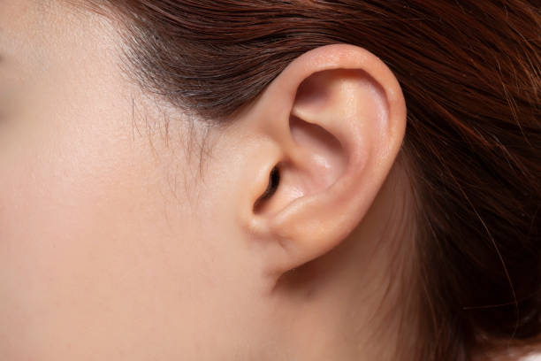 istock Close up of female ear 2125738548