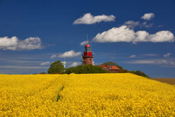 Lighthouse Buk near Bastdorf in yellow field