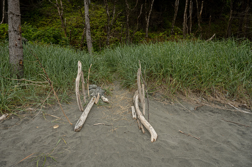 Driftwood Fence Leads Way to Carruthers Cove Trail in Redwood National Park