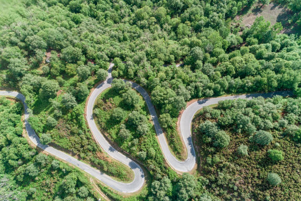 istock winding road on a mountain with oak forest, overhead drone view 2125820489