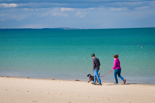 Sandwich, Massachusetts, USA  -March 17, 2024 -  A young couple walk their dog along Scusset Beach on Cape Cod on a bright but chilly March afternoon..