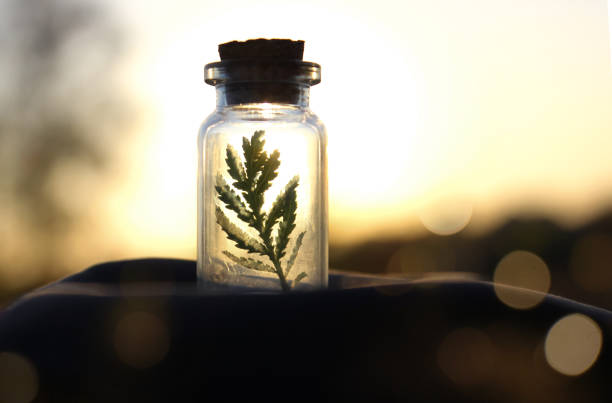 istock Bottle with Green Plant. Environmentally Friendly Concept. 2125826773