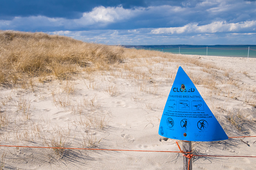 Sandwich, Massachusetts, USA  -March 17, 2024 - Portions of Scusset Beach on Cape Cod are closed to foot, vehicle and pet traffic during the springtime season in order to allow threatened bird species to build their nests in the grass and nurture their eggs.