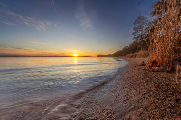 Kelly Beach Golden Spring Sunset. Higgins Lake, Michigan. 3/29/24.Sunset casts a warm glow over a tranquil lakeside, where the sun lowers near the horizon, touching the water with light. Tall pines stand along the sandy shore, their roots partly exposed, while the serenity of the scene invites peaceful reflection.