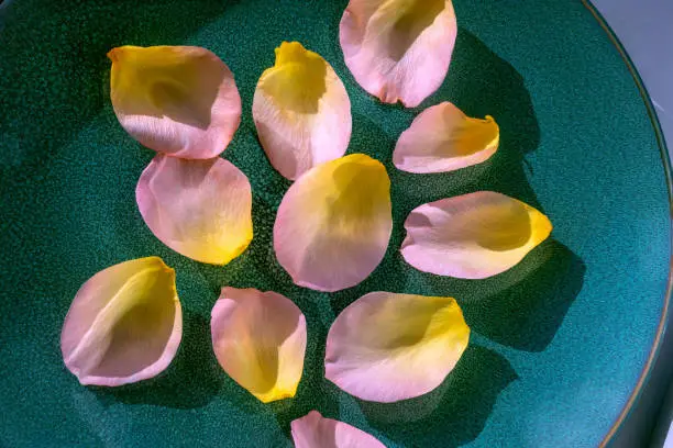 Photo of Rose petals are scattered on an emerald-colored plate, close-up, flat lay