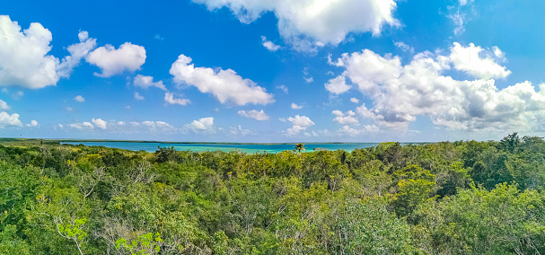 Panorama view to the Muyil Lagoon from the wooden viewpoint tower in the tropical jungle nature forest of Sian Ka'an National park Muyil Chunyaxche Quintana Roo Mexico.