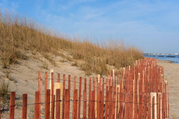 Sand dunes and the horizon over the ocean at Myrtle Beach.
