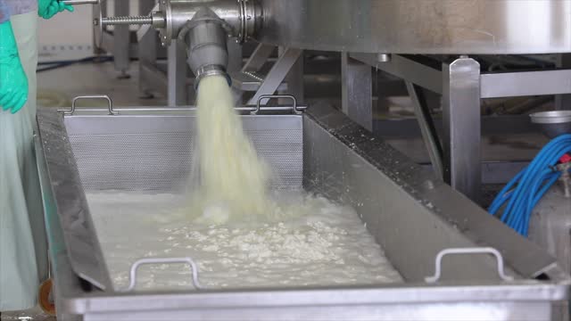 Milk pouring into the boiler at the cheese production plant