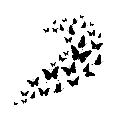 Vector illustration of a flock of butterflies soaring upwards on a white background.