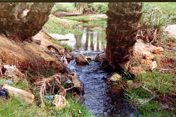 istock Nature Water fall shot on 35mm film 2126221041