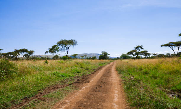 Dirt road in Akagera National Park, Rwanda