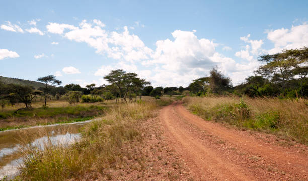 Dirt road in Akagera National Park, Rwanda