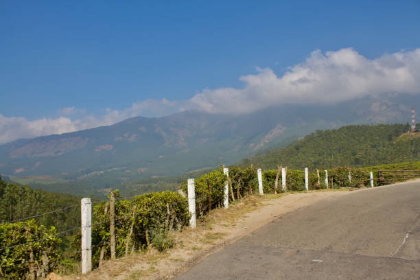 View of the beautiful tea plantation hills of Munnar, India. This was taken while sitting in the back seat of a jeep