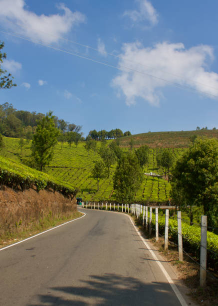 istock Tea plantation in Munnar, India 2126266488