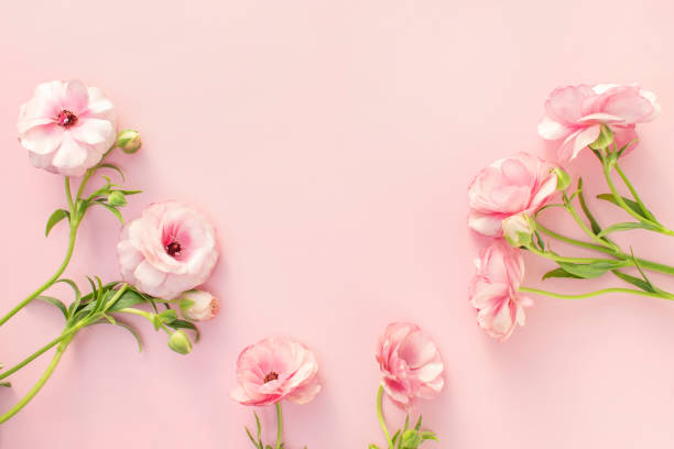 istock Pink flowers and Mock-up 2126347217