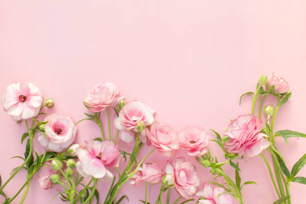 istock Pink flowers and Mock-up 2126347582