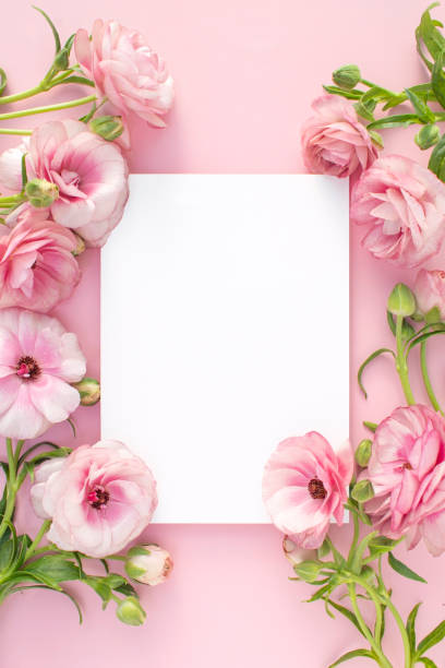 istock Pink flowers and Mock-up 2126347732