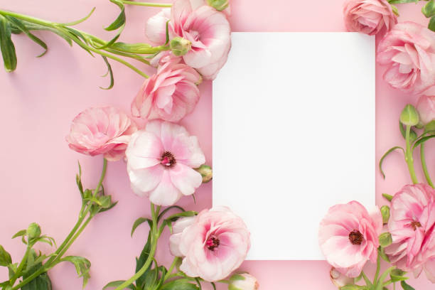 istock Pink flowers and Mock-up 2126347749