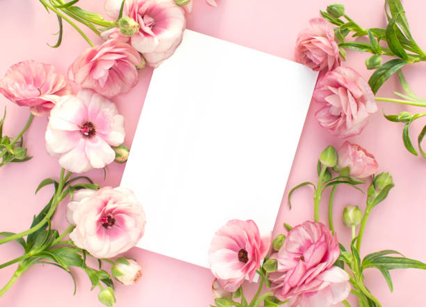 istock Pink flowers and Mock-up 2126348004