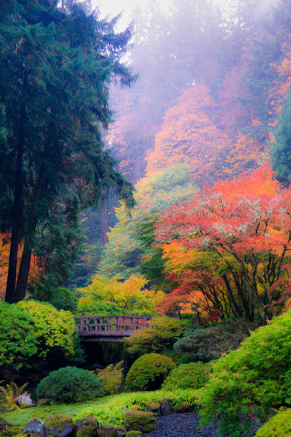 istock Japanese Garden autumn 2126393370