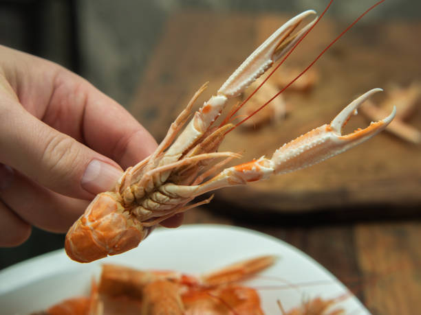 istock Prepared Norwegian Lobster on a Plate 2126422628