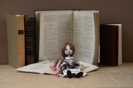 Handmade doll and books