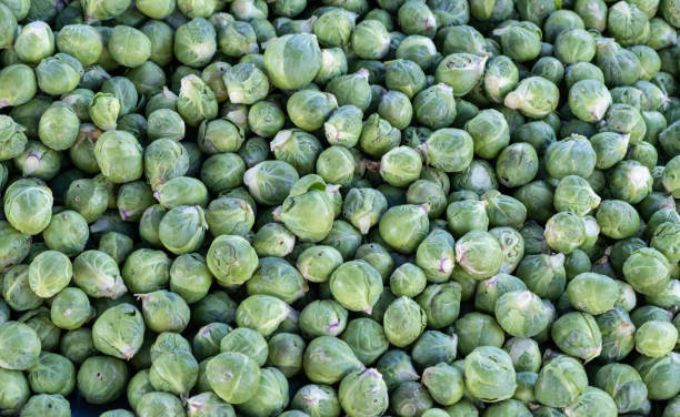 istock Fresh green brussels sprouts background from market 2126630832