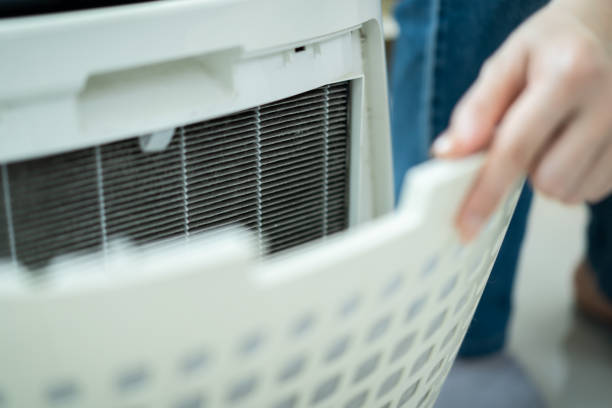 istock Woman changing air purifier filter. 2126675303