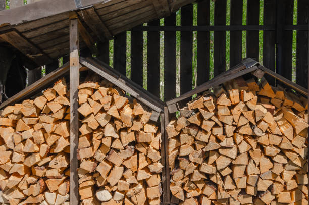 istock Firewood is prepared for the cold and stacked under a canopy 2126680199