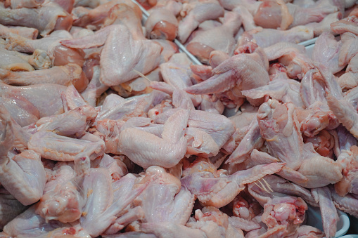 Photo of raw chicken portions for cooking and barbecuing with skinless breasts and diced strips for goulash or stir fry with legs and wings with skin viewed from above