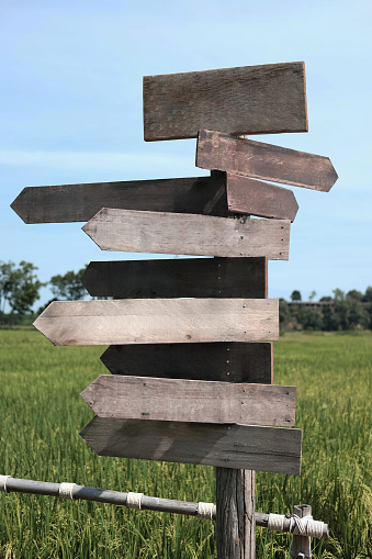 Vintage wood arrow shape sign and symbol for directions in paddy rice and outdoors way