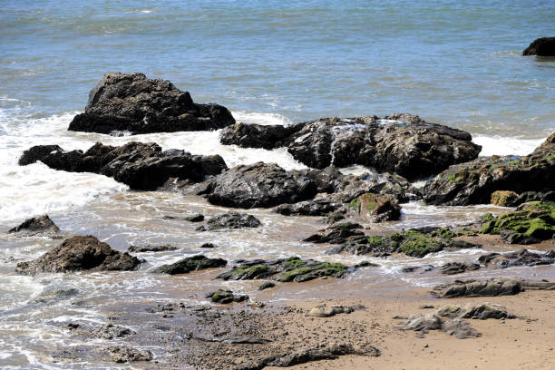 istock Tar Pits Park at Carpinteria Beach, California 2126738373