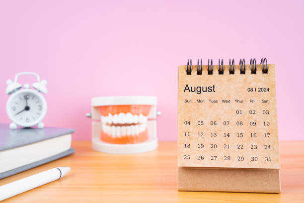 istock August monthly desk calendar for 2024 year and model dentures on the table. 2126755854