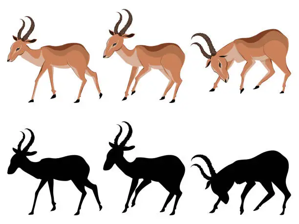 Vector illustration of Cute Cartoon Antelope