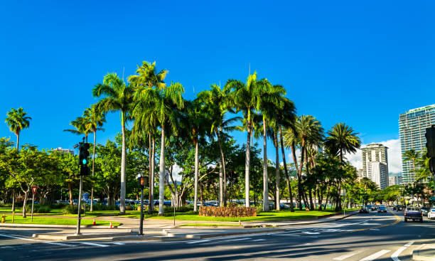 istock Fort DeRussy Beach Park in Honolulu, Hawaii 2126825497